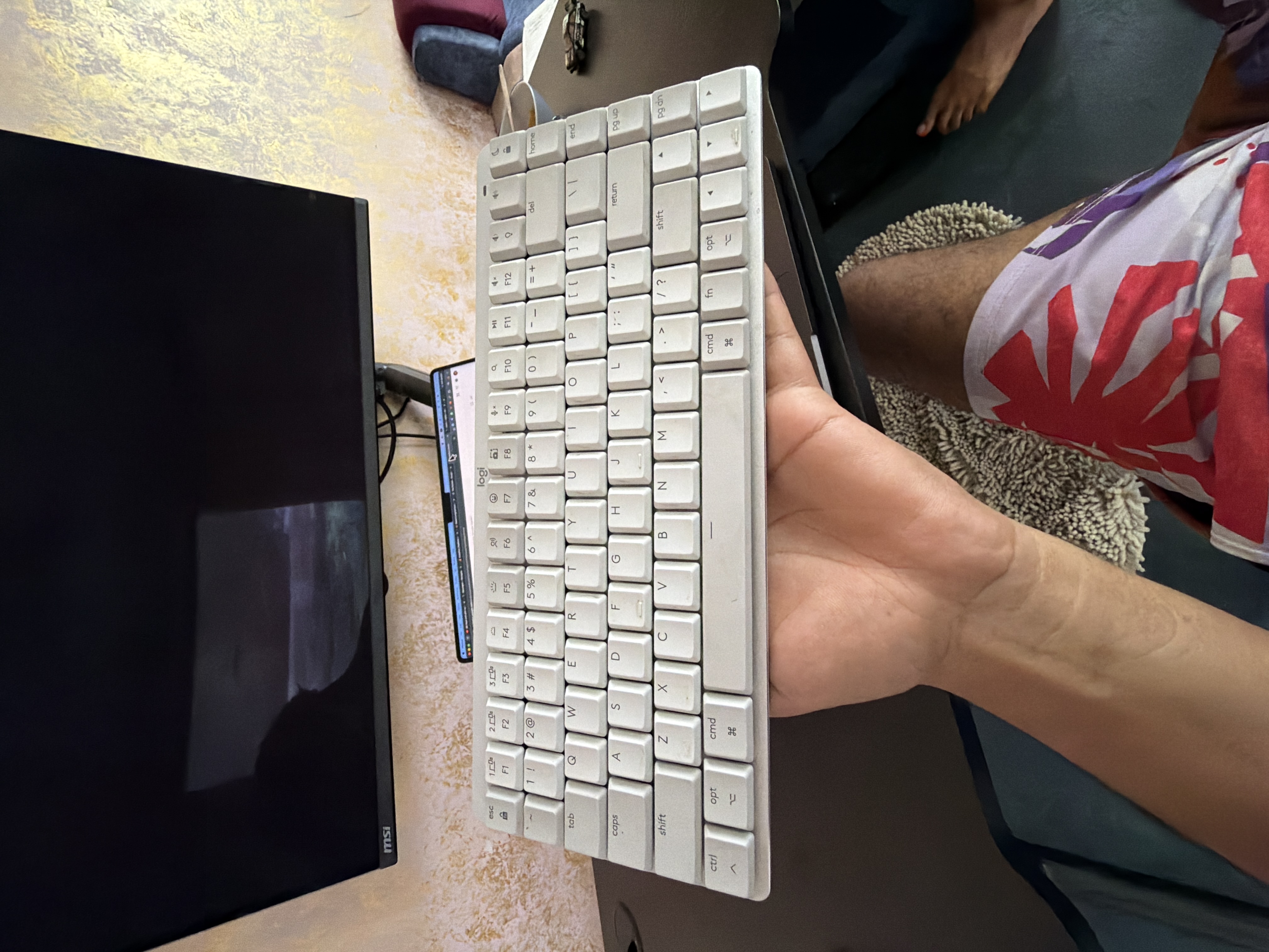 Logitech MX mechanical mini for Mac